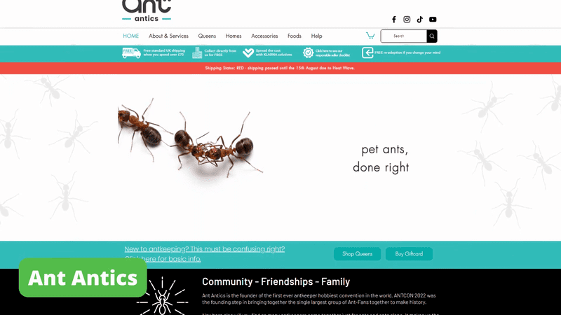 Página principal de Ant Antics