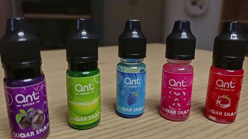 Ant Antics シュガースナップ