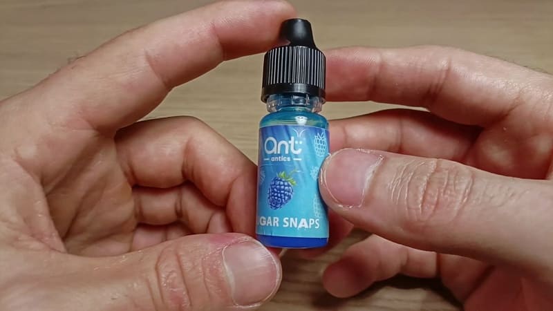 Ant Antics シュガースナップ