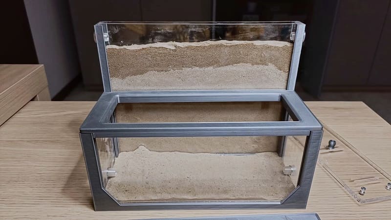 Il nido di sabbia Anthouse dopo la fase di innaffiatura