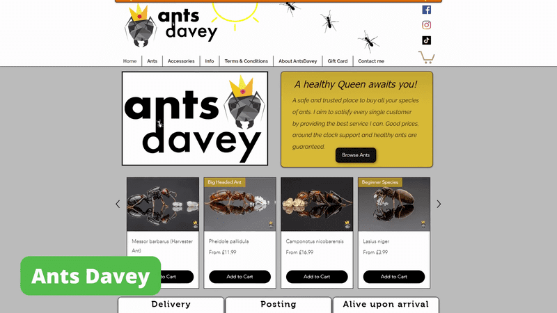 Página principal de Ants Davey