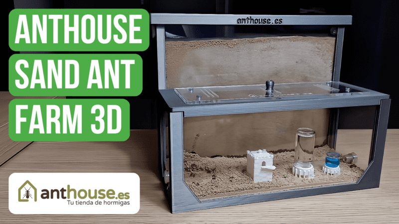 Recensione dell'Agricolo Ant House Sand Ant Farm 3D L