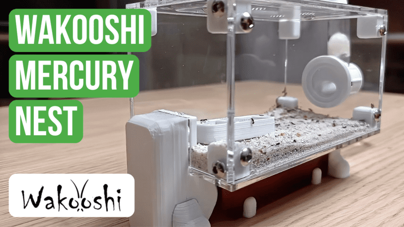 Recensione del Nido WaKooshi Mercury