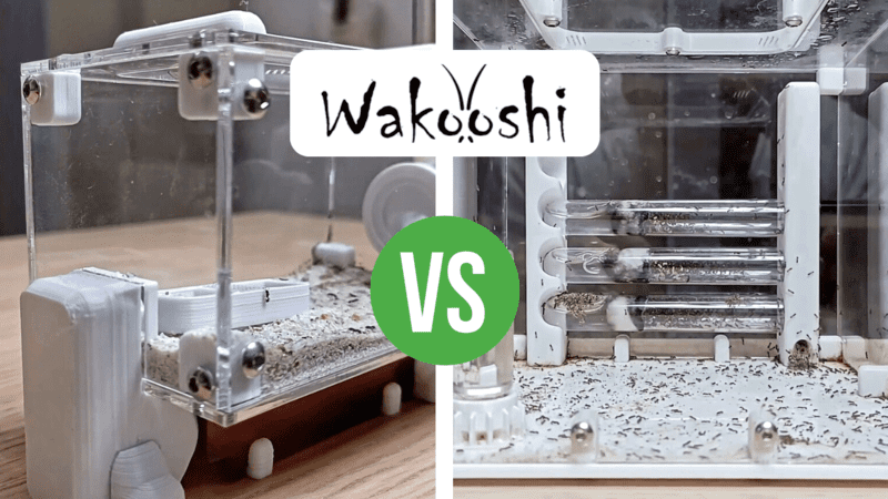 Nest Comparison: WaKooshi Mercury Nest vs Saturn Nest