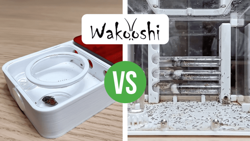 Nest Comparison: WaKooshi Venus Nest vs Saturn Nest
