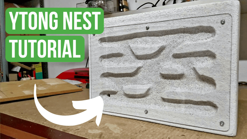 Cómo Hacer un Nido de Ytong - Tutorial de Ant Keeping