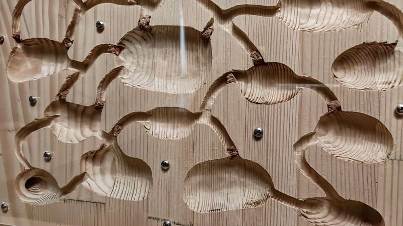 Ninho de formigas de madeira DIY