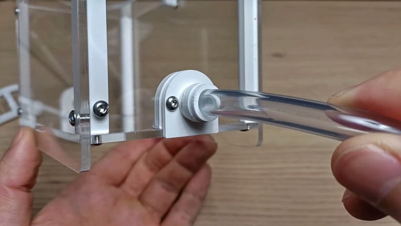 Esthetic Ants アウトワールドチューブ