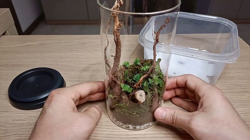 Terrarium en bocal
