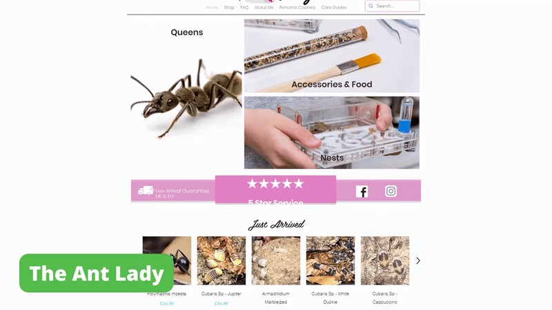 Página principal de The Ant Lady
