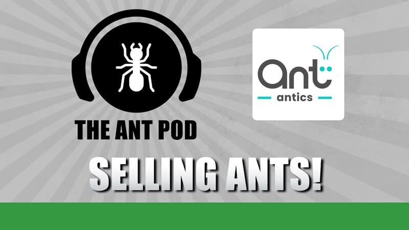 Vendere Formiche! - The Ant Pod