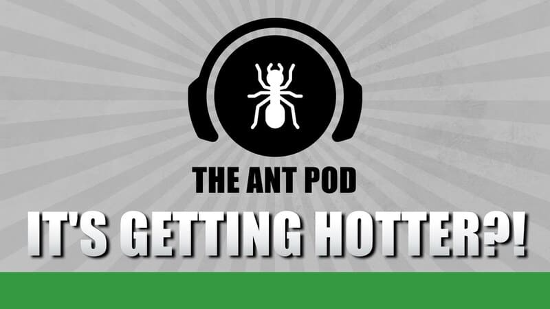 Beeinflusst der Klimawandel Ameisen? - Der Ant Pod