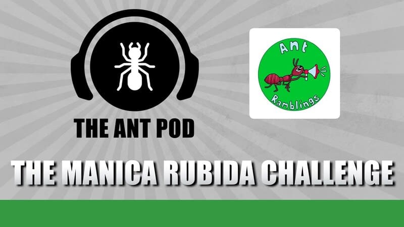 O Desafio Manica Rubida - The Ant Pod