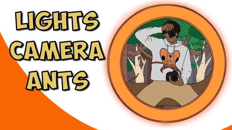 L'intervista di Lights Camera Ants - The Ant Pod