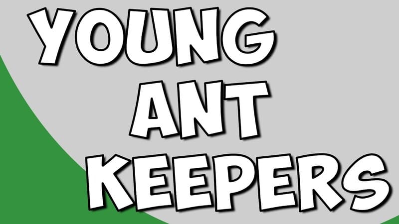 Young Ant Keepers V2 - The Ant Pod
