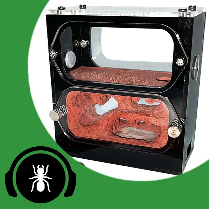 Is Ant Keeping Doomed? - The Ant Pod