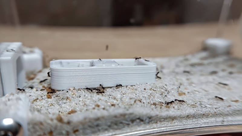 WaKooshi mercury nest feeding dish